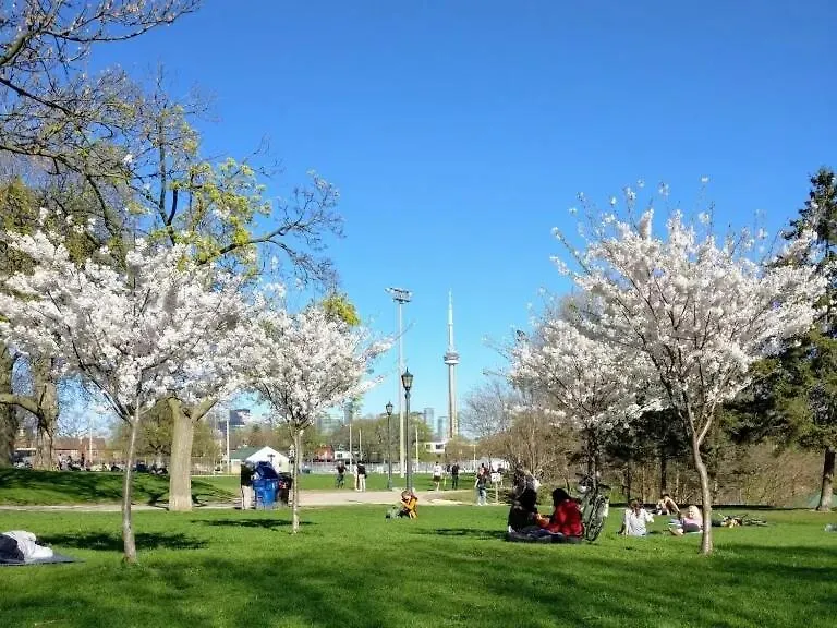 Mins Walk To Trinity Bellwood Park From Your Apartment Downtown 多伦多